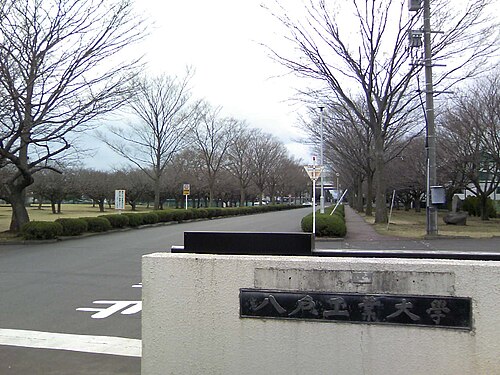 八戸工業大学は消える？定員68.6%割れの倒産リスクを河合塾データで判定