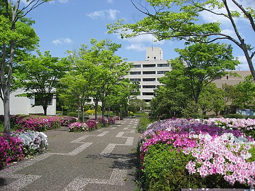 兵庫教育大学は本当にFラン？いや、偏差値45の実力を数字で論破する