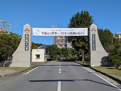 名桜大学は本当にFラン？いや、偏差値42.5の実力を数字で論破する