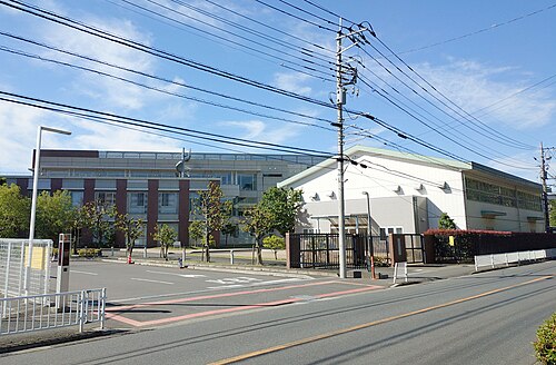 目白大学は本当にFラン？いや、偏差値45の実力を数字で論破する