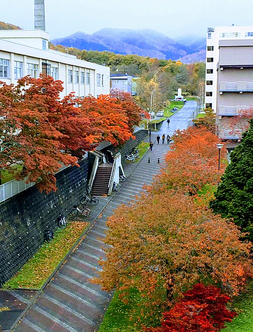 室蘭工業大学は本当にFラン？いや、偏差値42.5の実力を数字で論破する