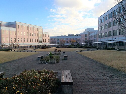 新潟医療福祉大学はFランで恥ずかしい？偏差値40・充足率100.5%の実像を暴く