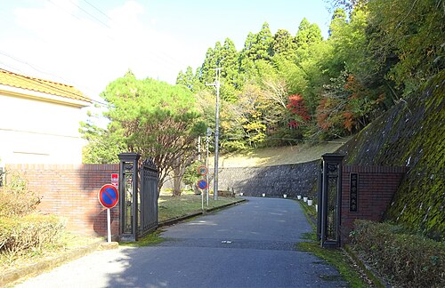 三育学院大学は消える？定員51.9%割れの倒産リスクを河合塾データで判定