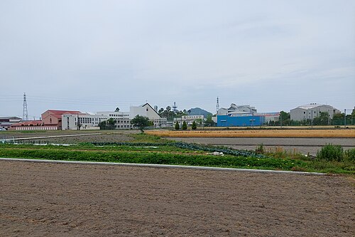 【偏差値が出ない】聖カタリナ大学は本当にFランなのか、データで判定