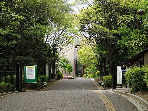 【定員65.7%割れ】相愛大学はやばい？偏差値と就職の真実