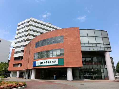 東京医療保健大学は本当にFラン？いや、偏差値の実力を数字で論破する
